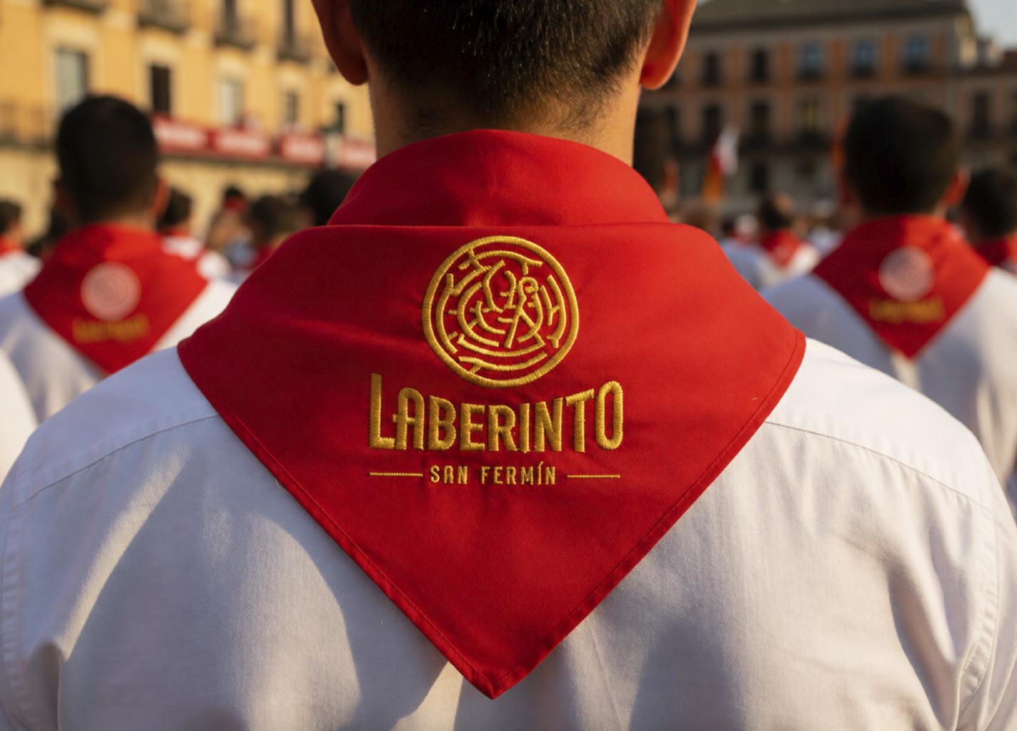 Diseñador de logotipos personalizados en Pamplona