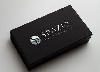 Logotipo de Spazio Profesional